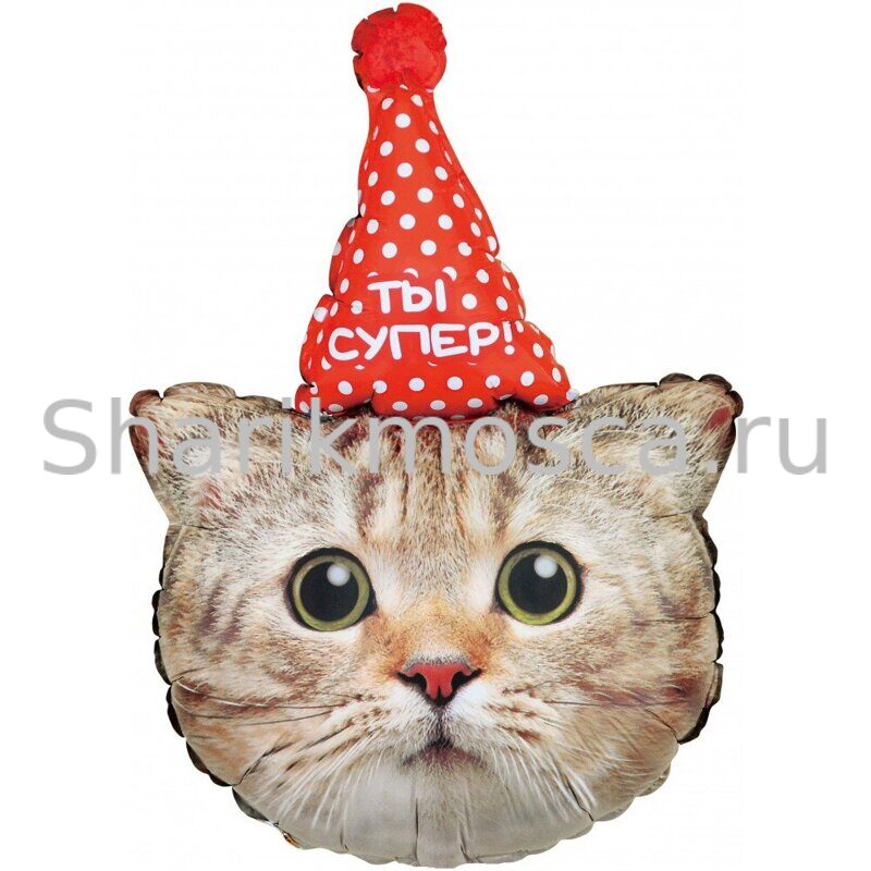 Котенок ты супер