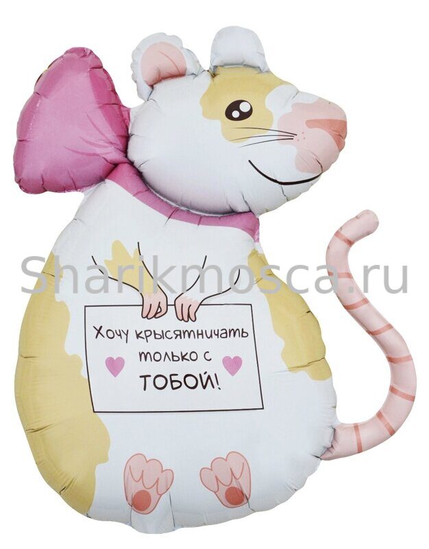 Крысь , крыска,